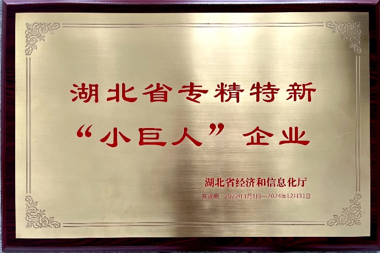 专精特新奖
