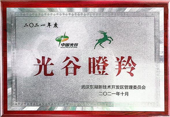 光谷瞪羚