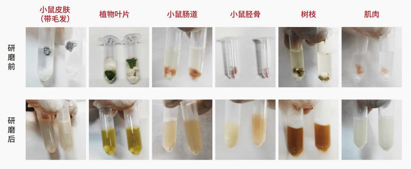 企业微信截图_17286352794349.png