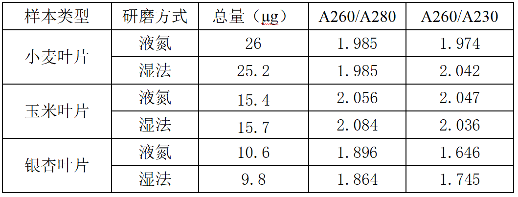 0231叶片1
