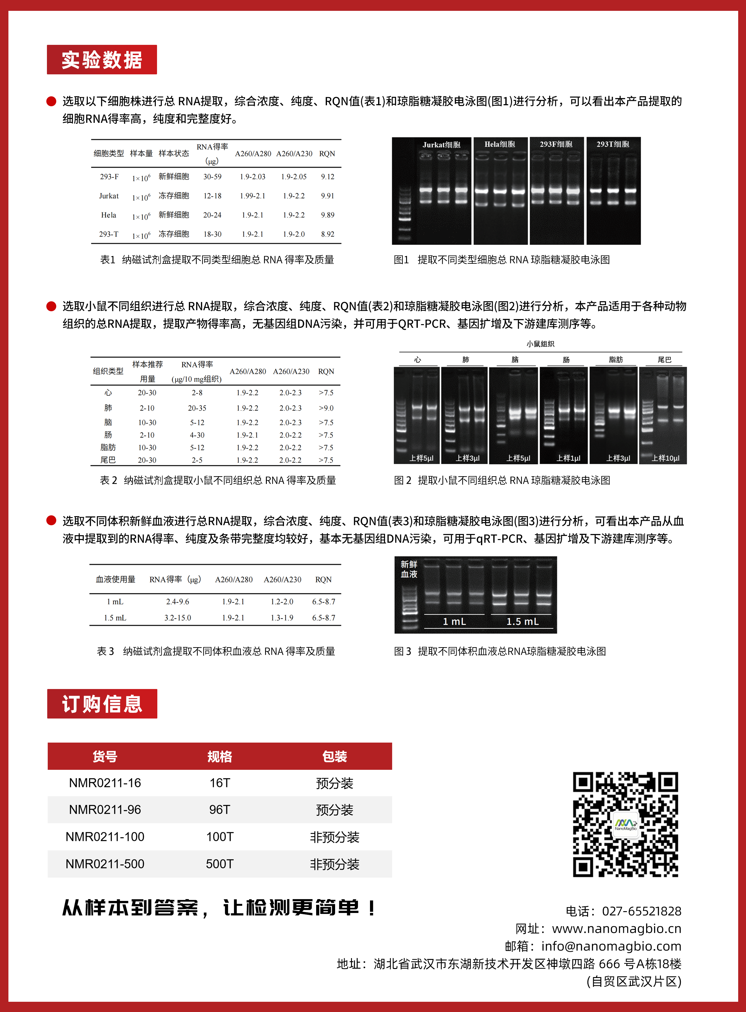 细胞2